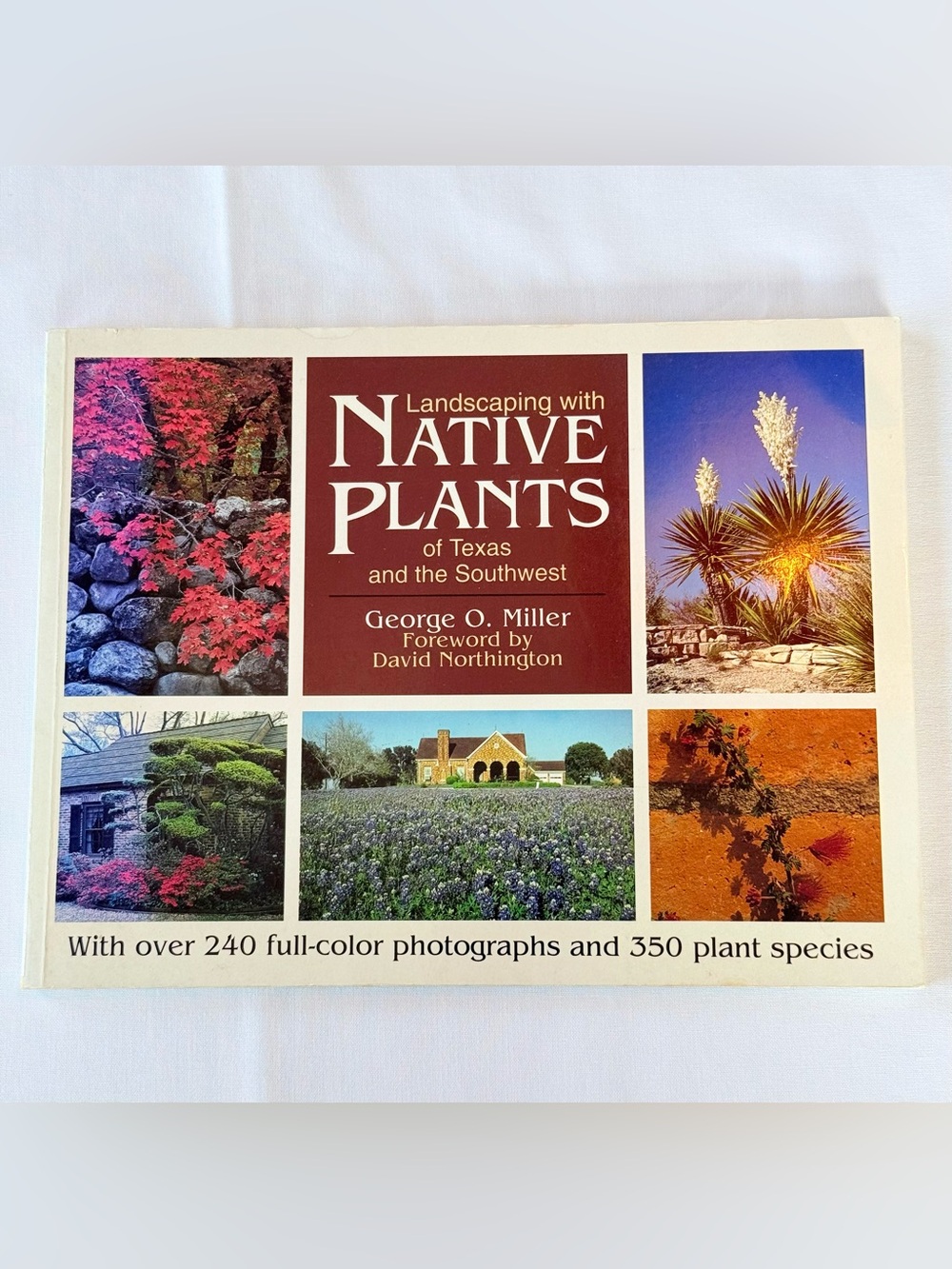 Landscaping with Native Plants of Texas and the Southwest (Brown)